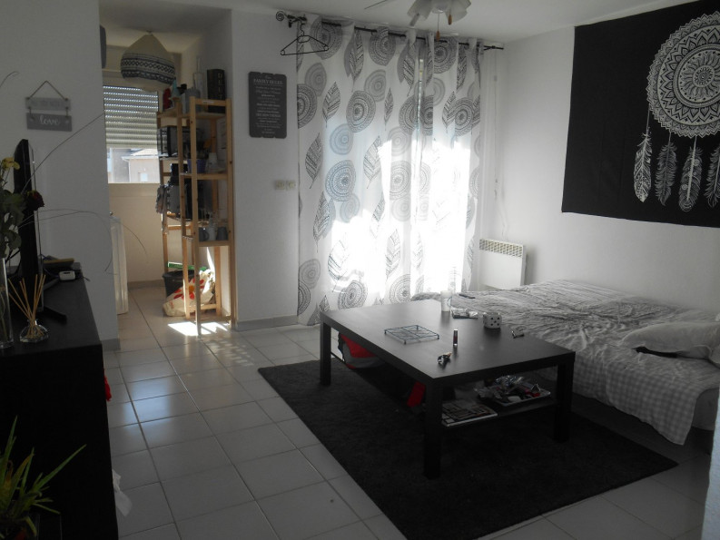 location Appartement Grabels - Photo 1