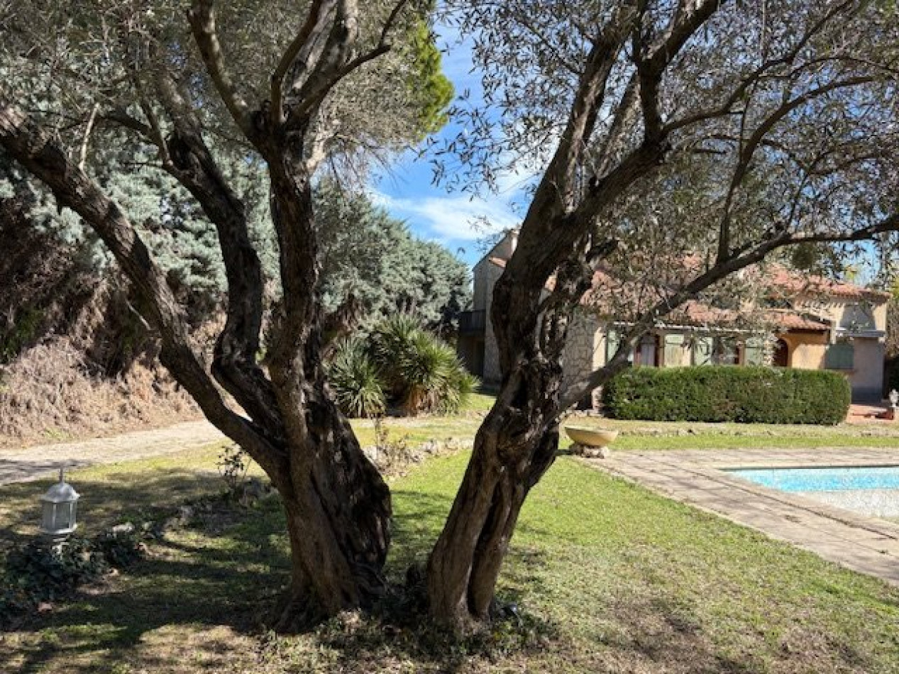 à vendre Maison Saint Andre De Sangonis - Photo 10