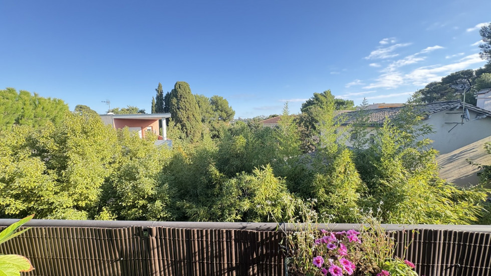 vente Appartement Montpellier - Photo 3