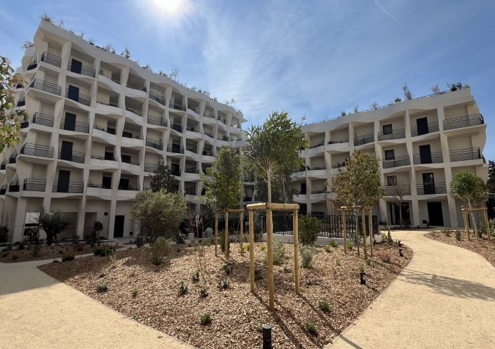 à louer Appartement Montpellier