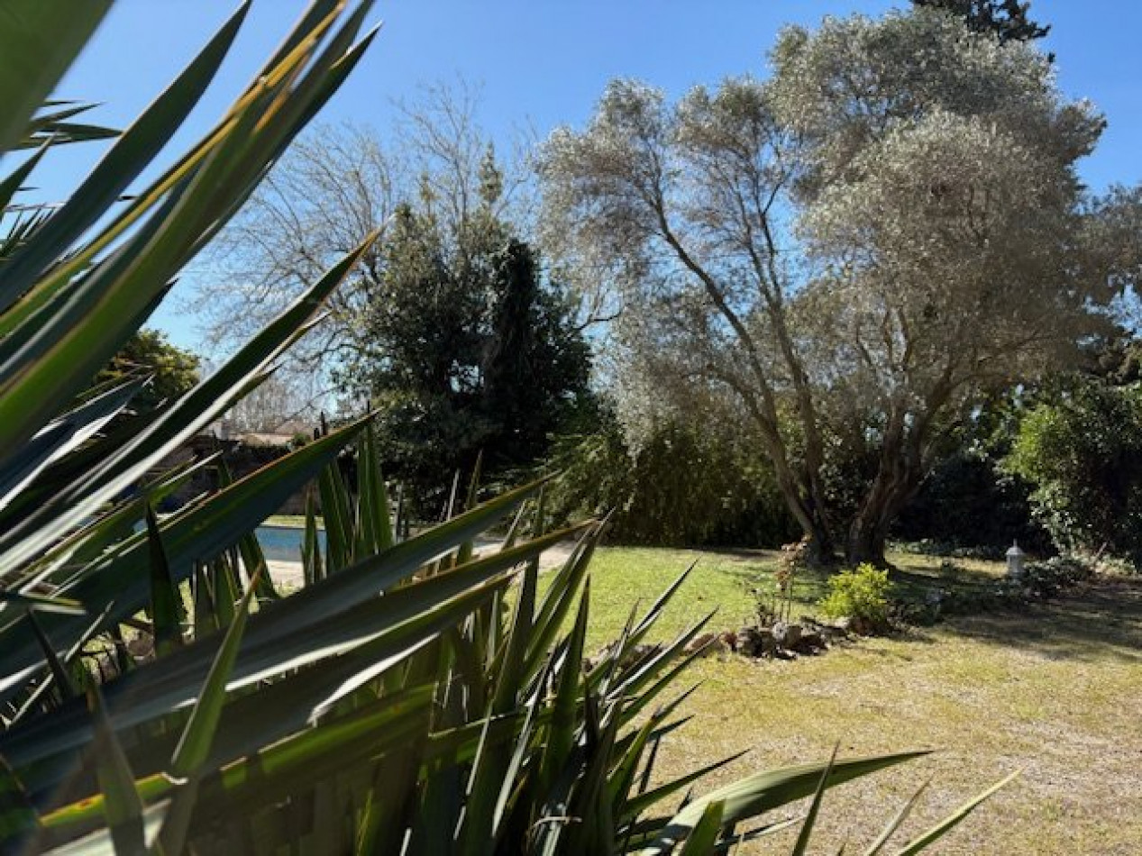 à vendre Maison Saint Andre De Sangonis - Photo 9