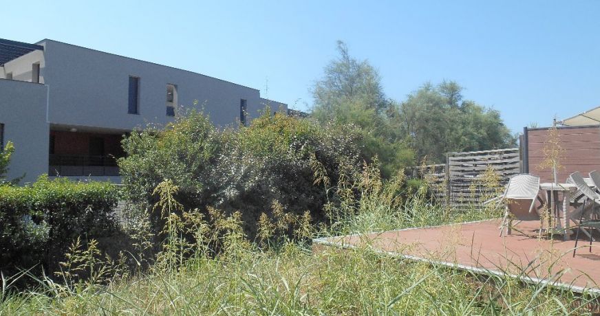 vente Maison Jacou