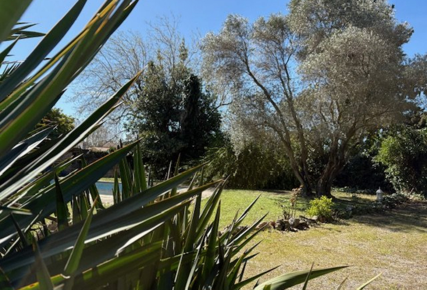 vente Maison Saint Andre De Sangonis - Photo 9