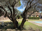 à vendre Maison Saint Andre De Sangonis
