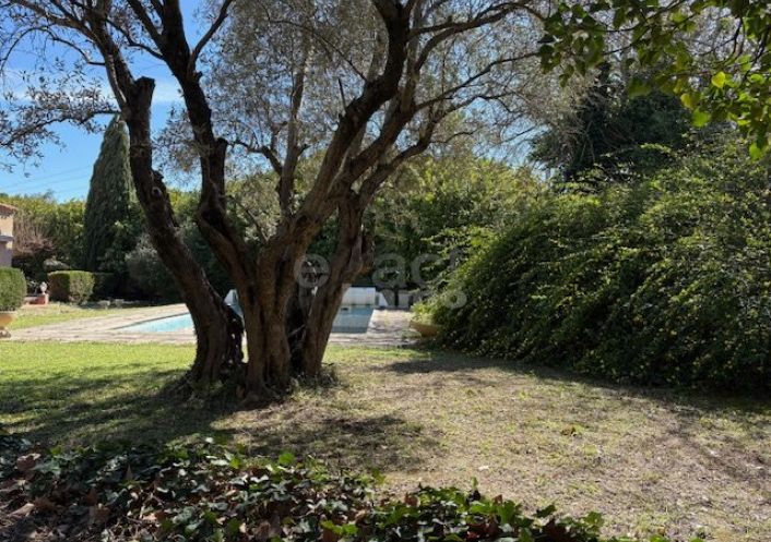 à vendre Maison Saint Andre De Sangonis