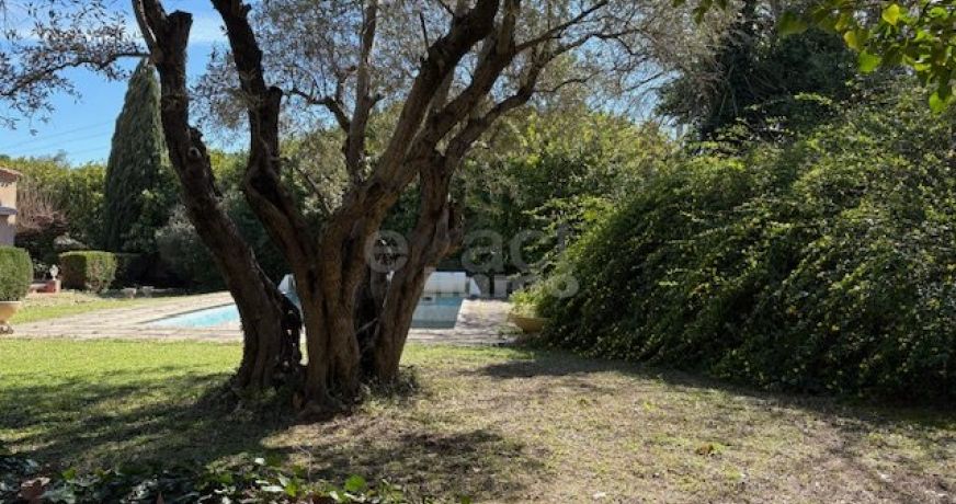 vente Maison Saint Andre De Sangonis
