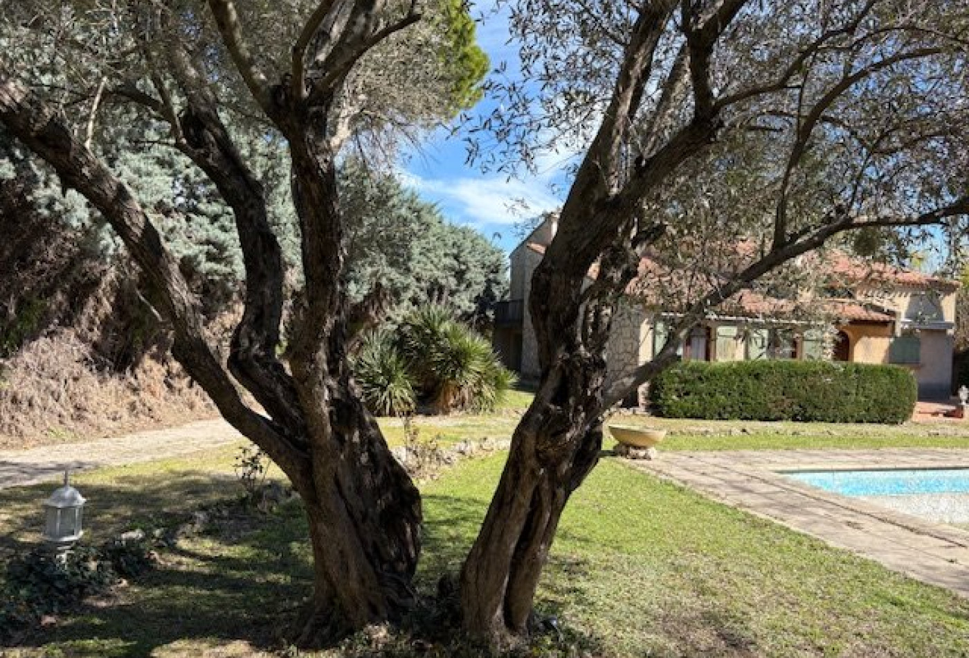 vente Maison Saint Andre De Sangonis - Photo 10