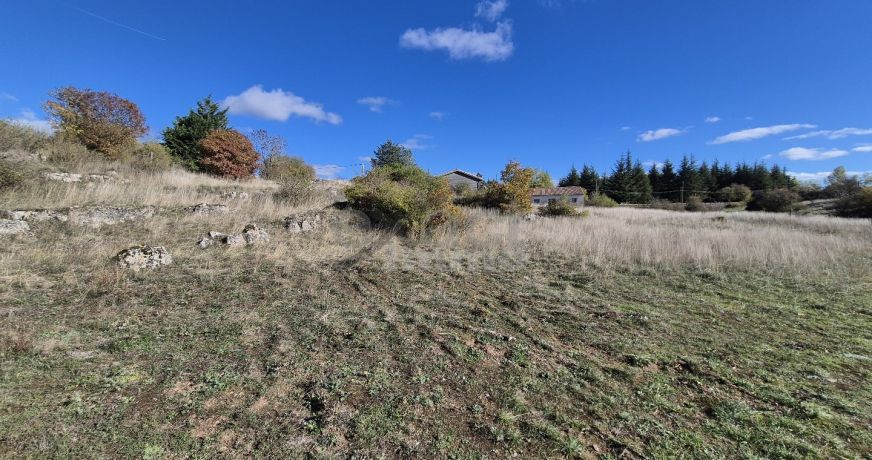 vente Terrain Le Caylar
