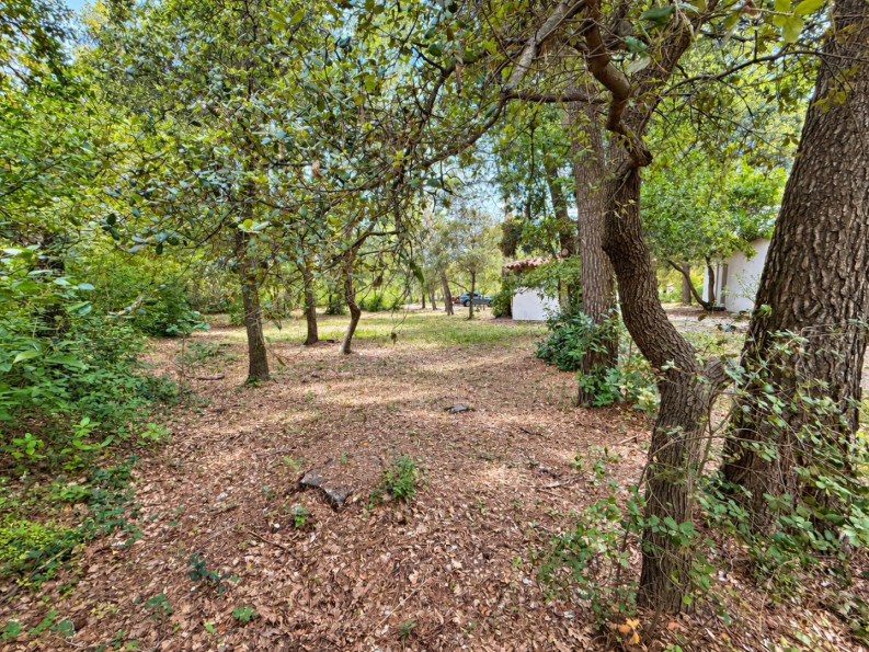vente Maison Montpellier - Photo 3