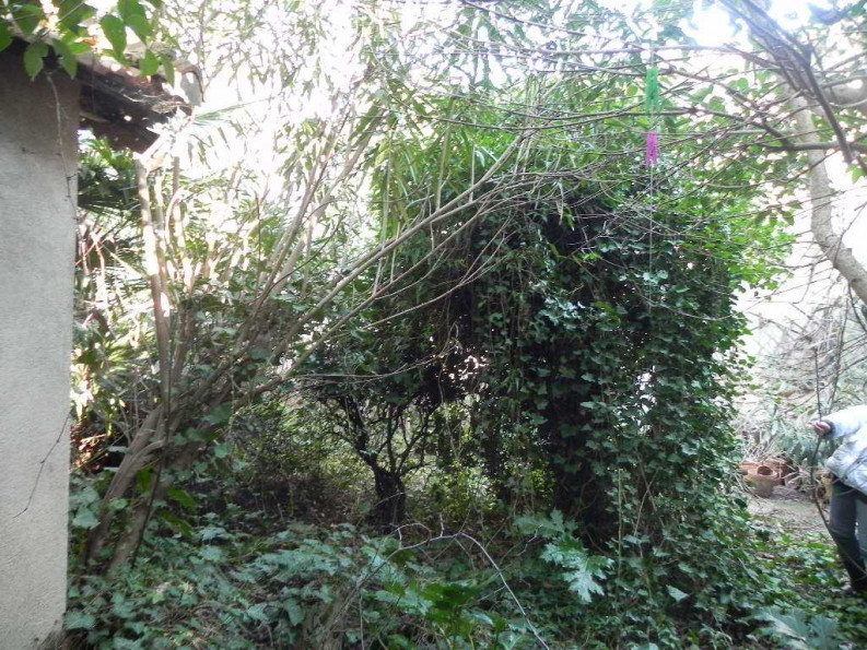 sale Maison vigneronne Capestang - Photo 3