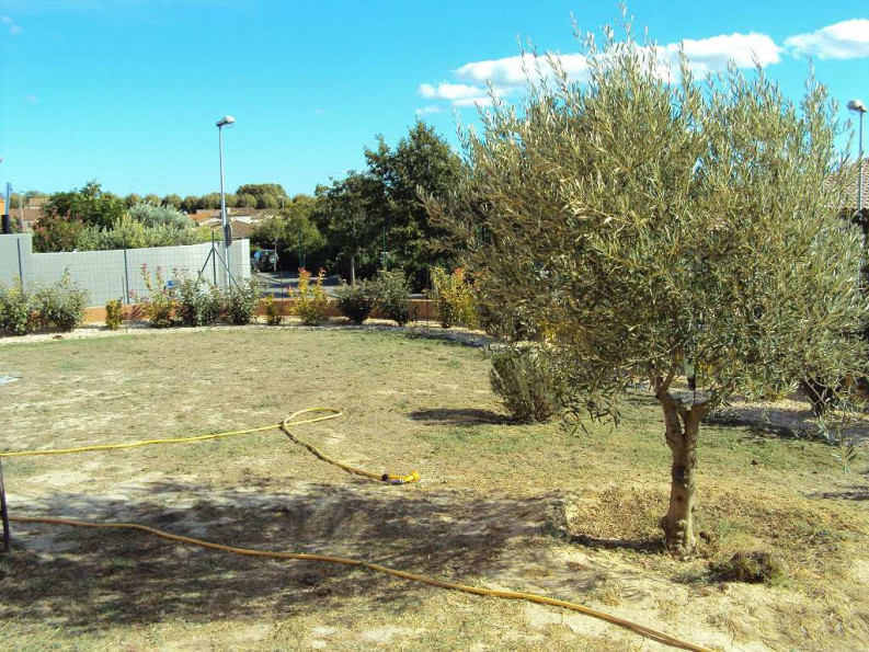 sale Villa Capestang - Photo 4