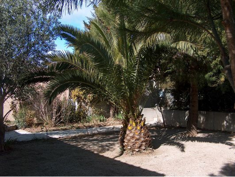 sale Villa Puisserguier - Photo 5