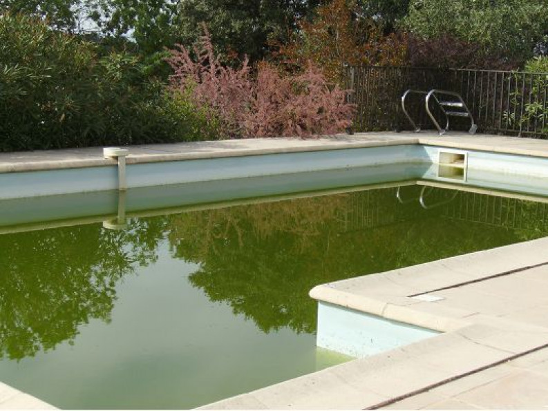 sale Villa Quarante - Photo 6