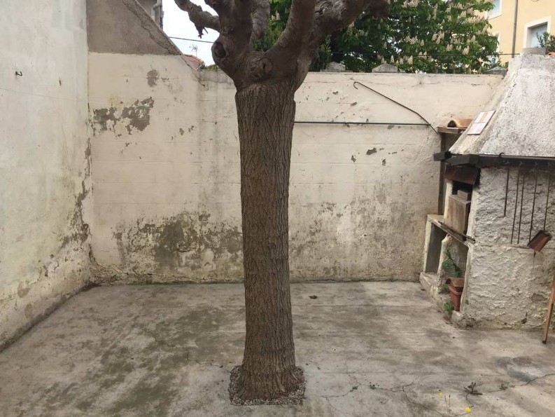 vente Immeuble de rapport Capestang - Photo 1