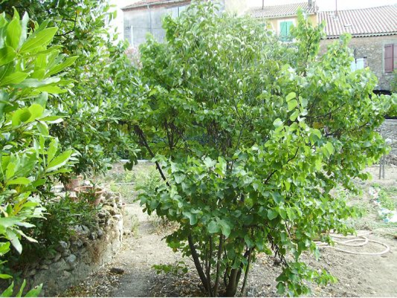 sale Terrain constructible Quarante - Photo 2