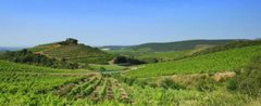 sale Terrain constructible Laurens - Photo 1