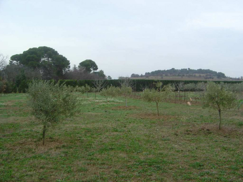 sale Maison Maureilhan - Photo 2