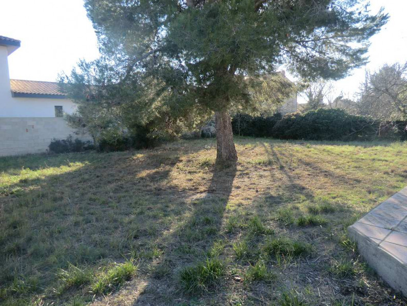 sale Terrain constructible Montady - Photo 3