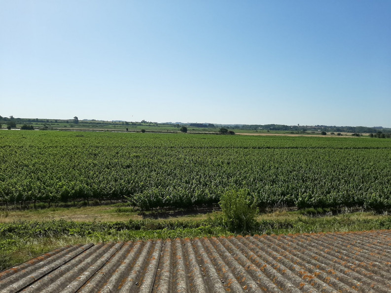 sale Maison Montady - Photo 1