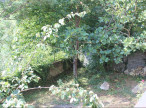 location Maison de caractère Saint Martin De L'arcon