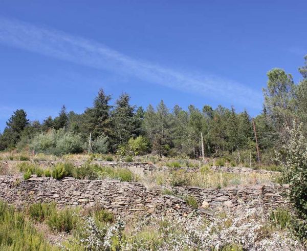 A vendre Olargues 340523314 Lamalou immobilier