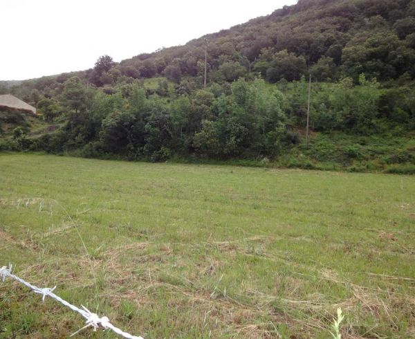 For sale Riols 340523439 Lamalou immobilier