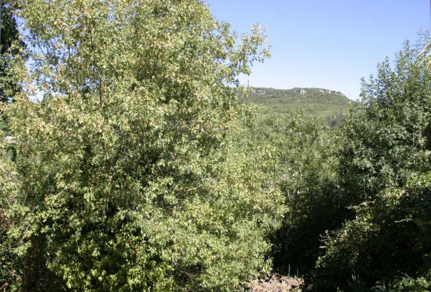 location Maison Lamalou Les Bains - Photo 14