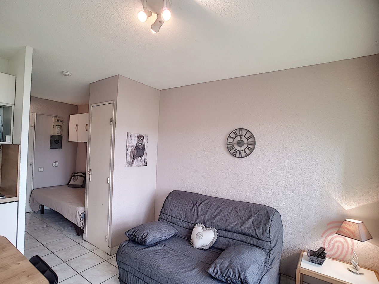 en location saisonnière Appartement Lamalou Les Bains - Photo 1