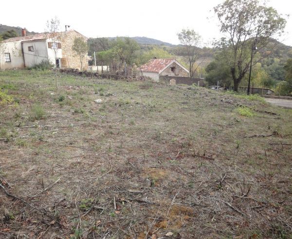 A vendre La Tour Sur Orb 340524054 Lamalou immobilier