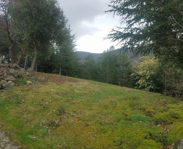 A vendre Olargues 340524385 Lamalou immobilier