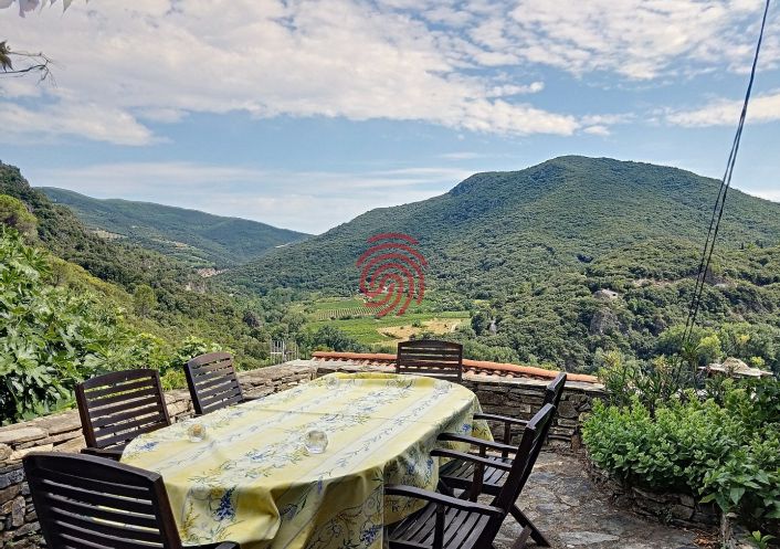 vente Maison de caractère Vieussan