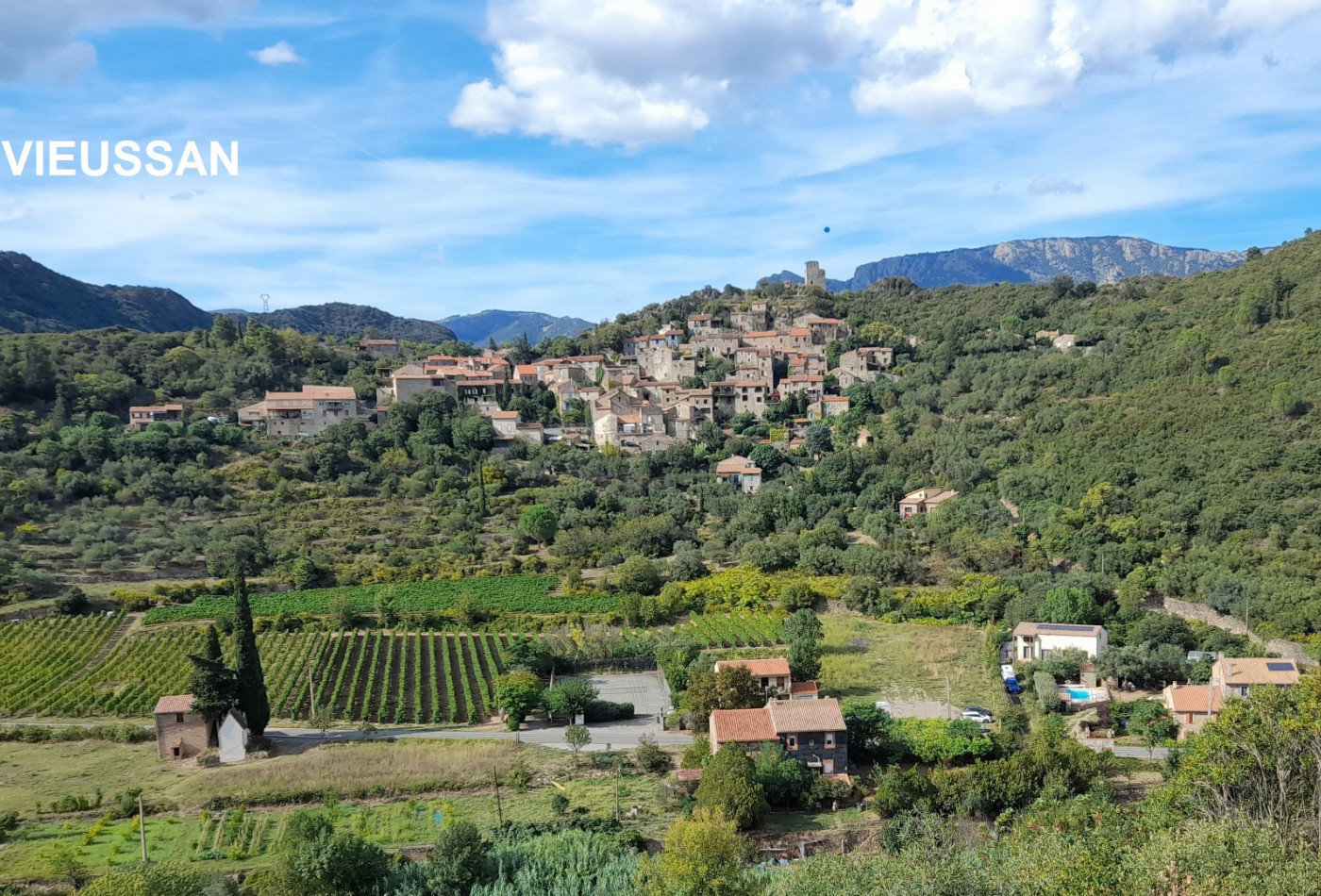 vente Maison de caractère Vieussan - Photo 1