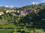 à vendre Maison de caractère Vieussan