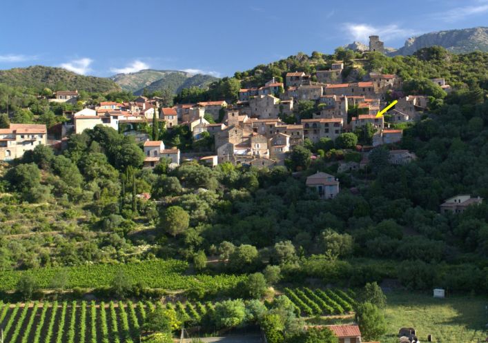 à vendre Maison de caractère Vieussan