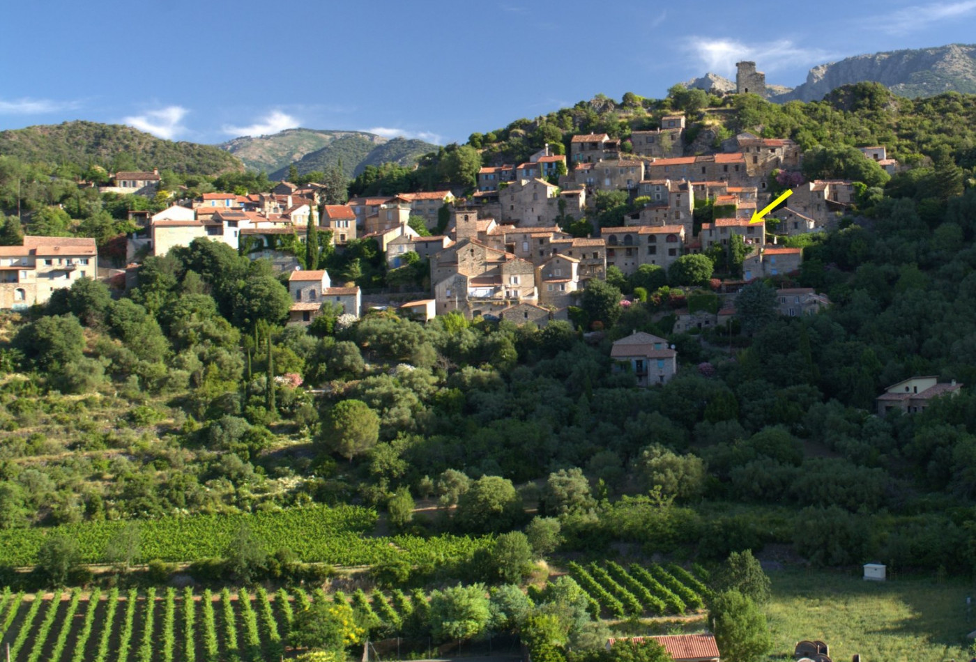 à vendre Maison de caractère Vieussan - Photo 1