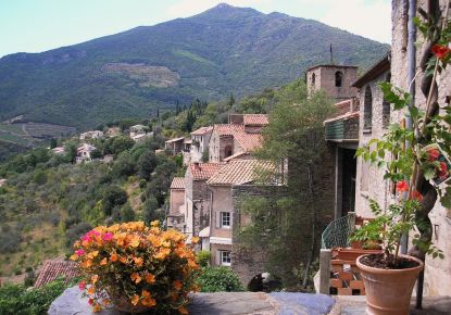 vente Maison de caractère Vieussan