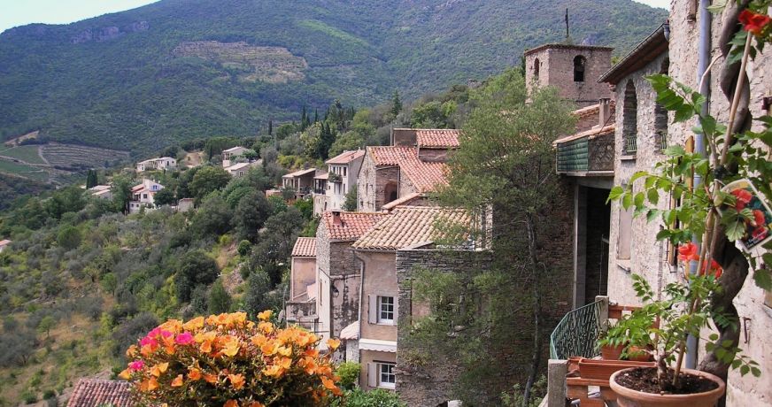 vente Maison de caractère Vieussan