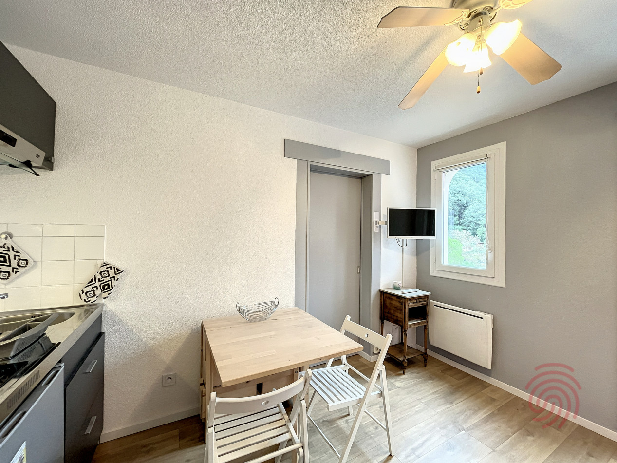 en location saisonnière Appartement Lamalou Les Bains - Photo 10