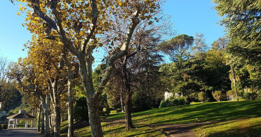 en location saisonnière Appartement Lamalou Les Bains