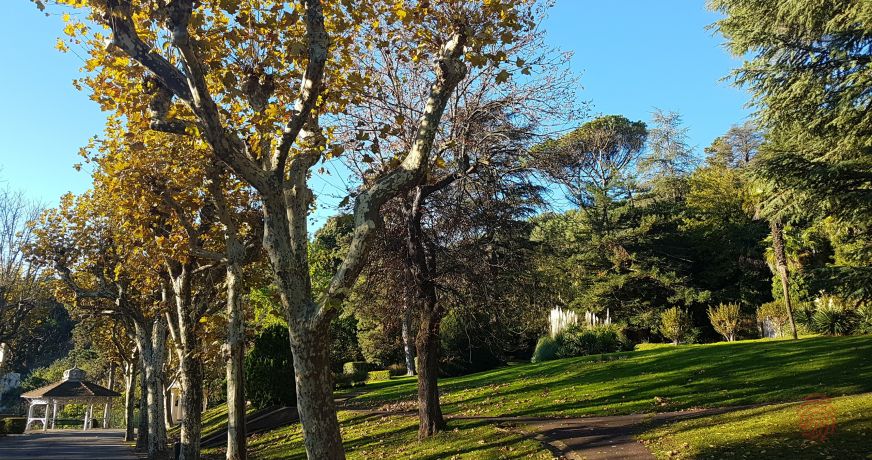 en location saisonnière Appartement Lamalou Les Bains