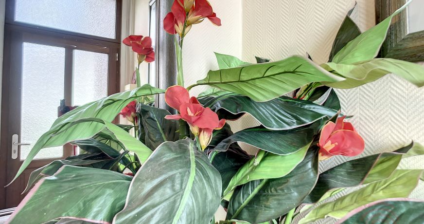 en location saisonnière Appartement Lamalou Les Bains