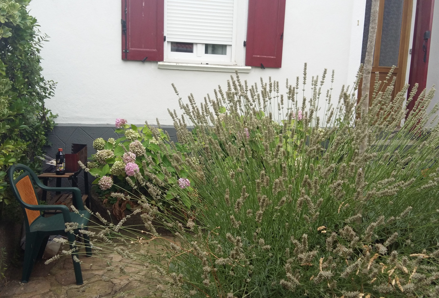 for seasonal lettings Appartement Lamalou Les Bains - Photo 20