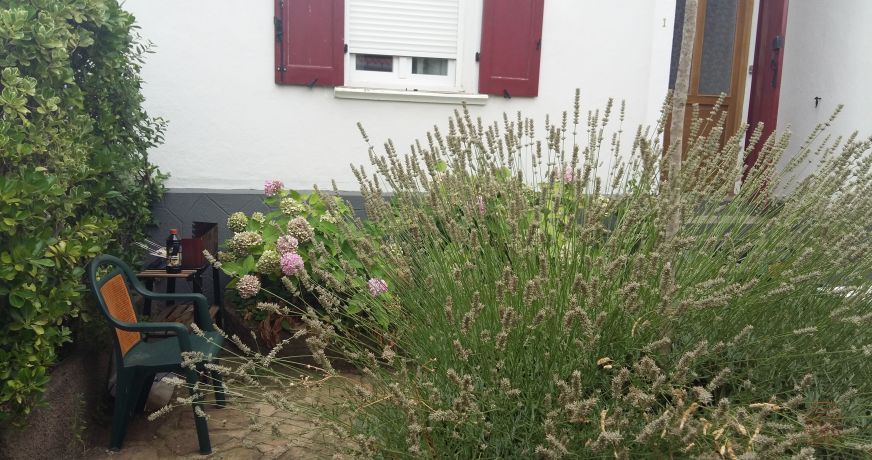 en location saisonnière Appartement Lamalou Les Bains