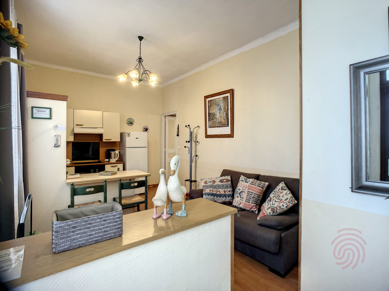 en location saisonnière Appartement Lamalou Les Bains - Photo 1