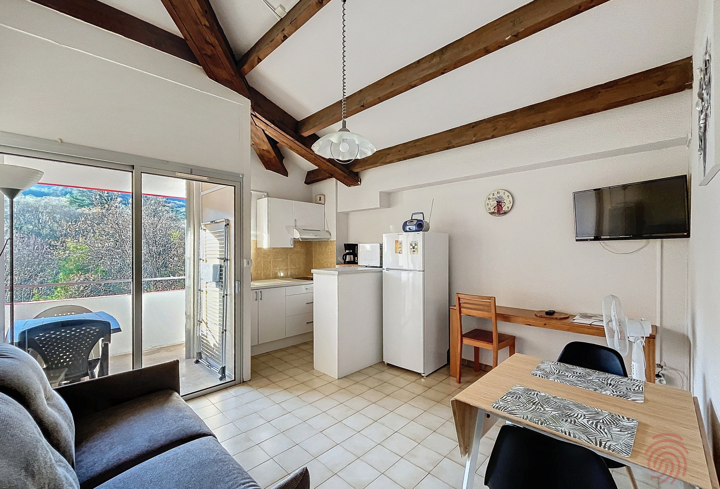 en location saisonnière Appartement Lamalou Les Bains - Photo 1