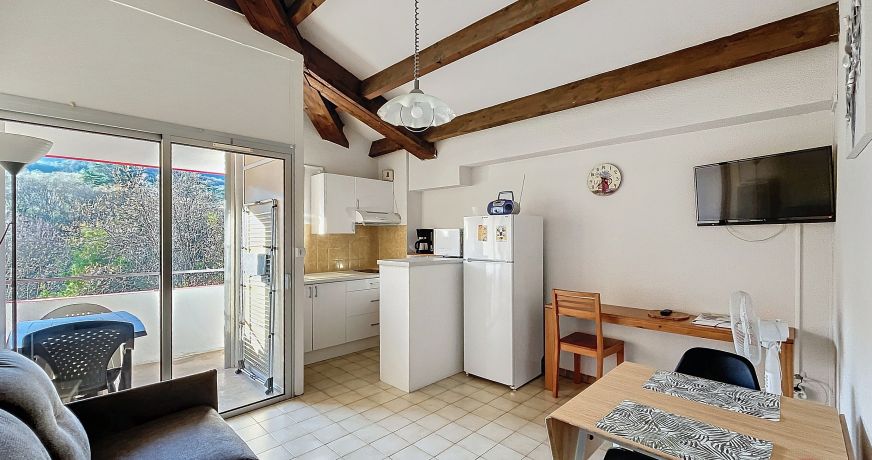 en location saisonnière Appartement Lamalou Les Bains