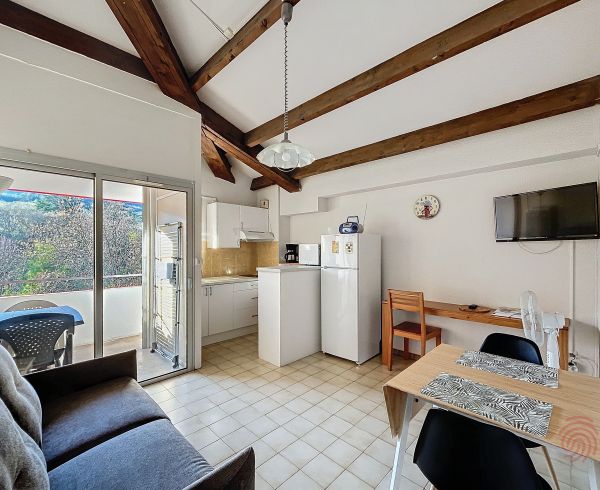 en location saisonnière Lamalou Les Bains