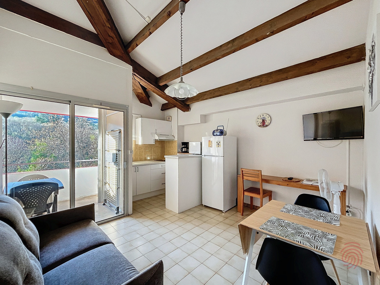 en location saisonnière Appartement Lamalou Les Bains - Photo 1