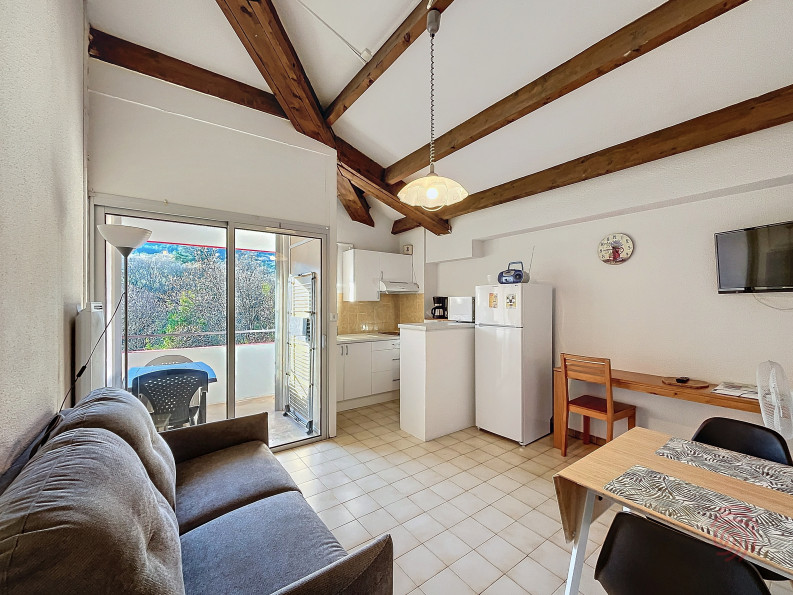 en location saisonnière Appartement Lamalou Les Bains - Photo 9