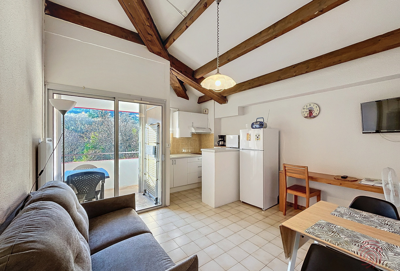 en location saisonnière Appartement Lamalou Les Bains - Photo 9